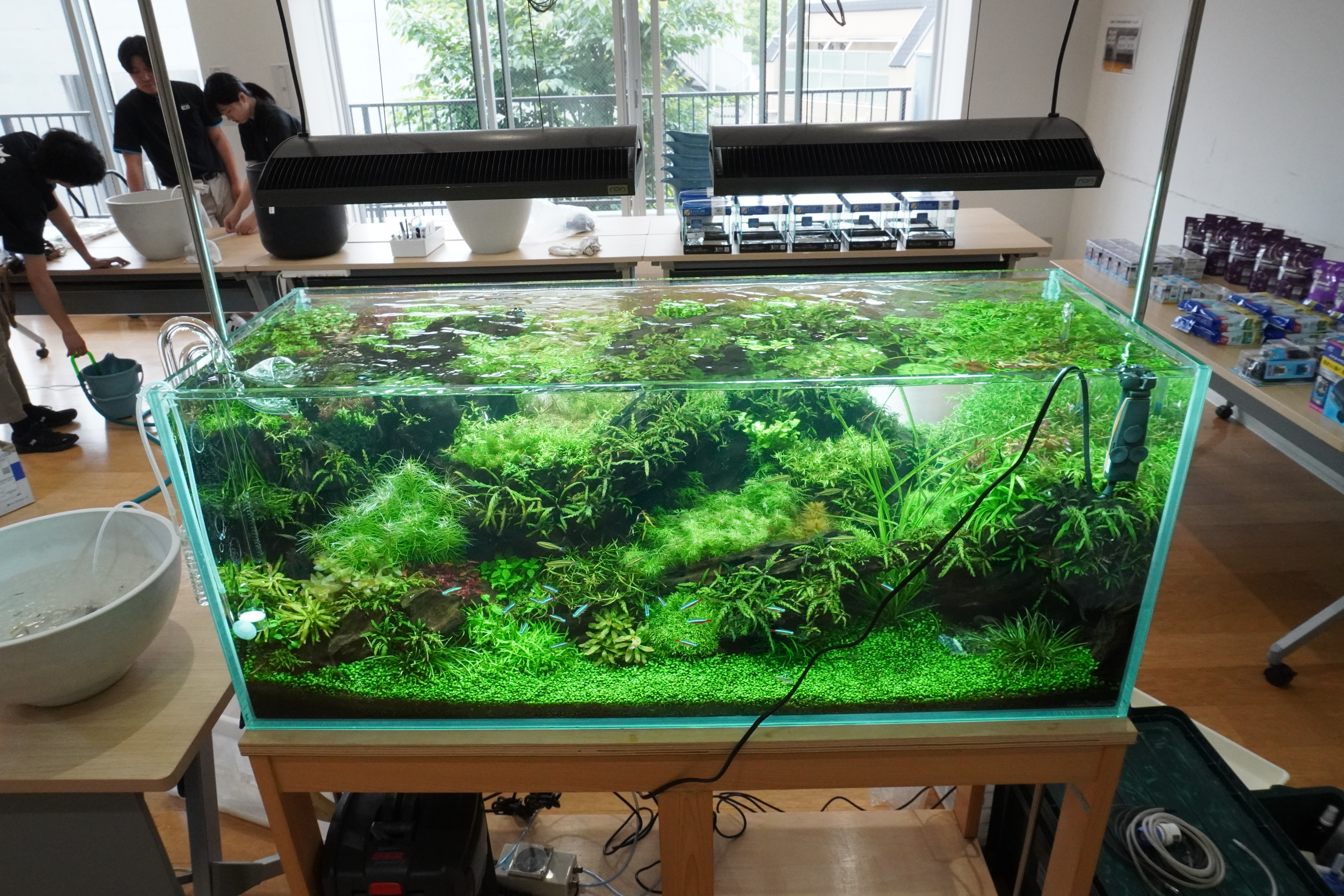 アクアリウム　まとめ売り SAMURAI PLANTSで作るアクアリウムキット（ライト/スタンド無し